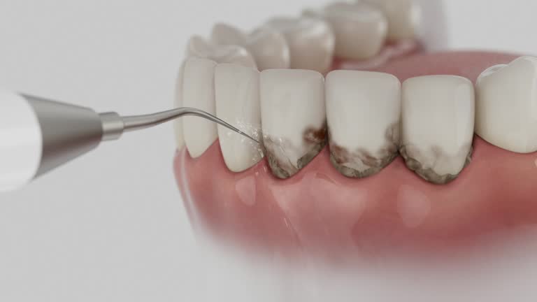 Reliable Dental contractor in Reedsville, WI by Dentist Open Now